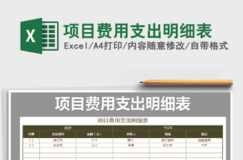 2025年项目费用支出明细表