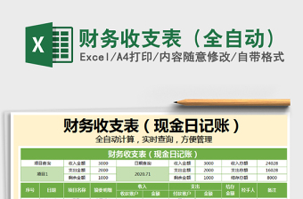 2025年财务收支表（全自动）