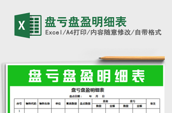 2025年盘亏盘盈明细表