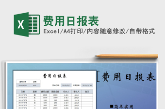 2025年费用日报表