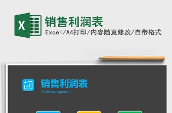 2025年销售利润表