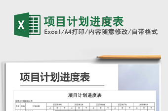 2025年项目计划进度表