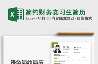 2025年简约财务实习生简历