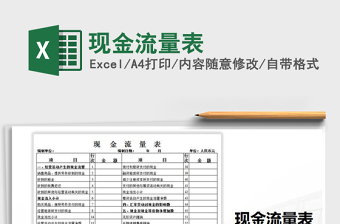 2025年现金流量表