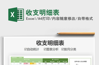 2025年收支明细表