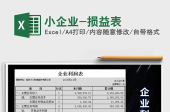 2025年小企业-损益表