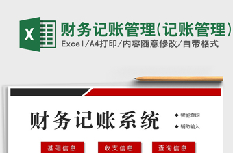 2024年财务记账管理(记账管理)