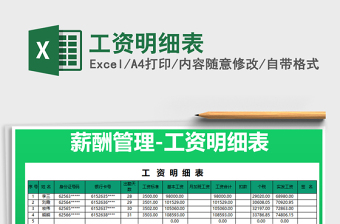 2025年工资明细表