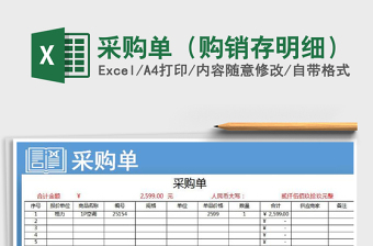 2025年采购单（购销存明细）