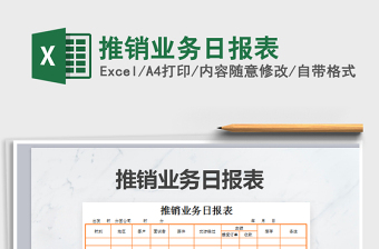 2025年推销业务日报表