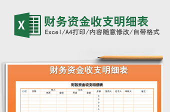 2025年财务资金收支明细表