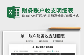 2025年财务账户收支明细表