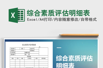 2025年综合素质评估明细表