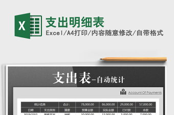 2025年支出明细表