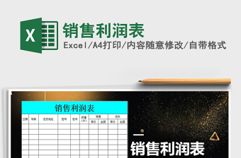 2025年销售利润表