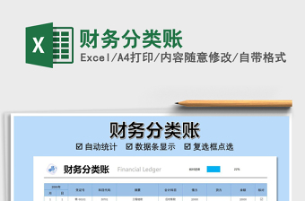 2025年财务分类账