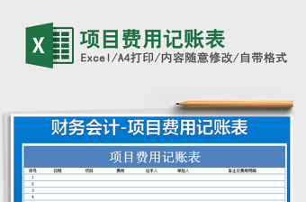 2025年项目费用记账表