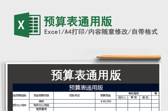 2025年预算表通用版