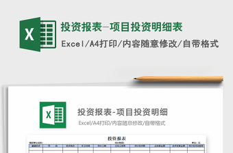 2025年投资报表-项目投资明细表