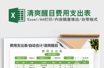 2025年清爽醒目费用支出表