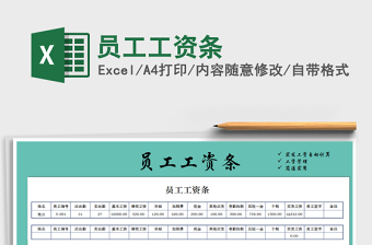 2025年员工工资条