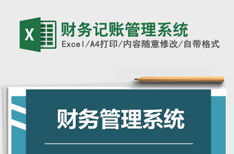 2025年财务记账管理系统