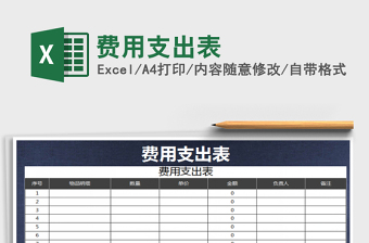 2025年费用支出表