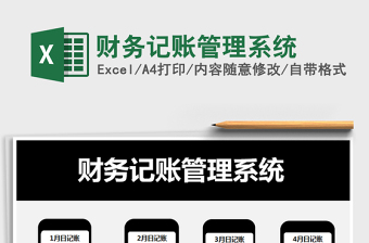 2025年财务记账管理系统