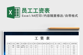 2025年员工工资表