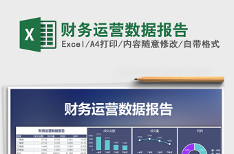 2024年财务运营数据报告