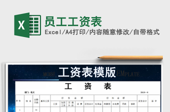 2025年员工工资表