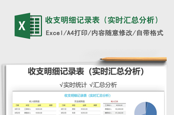 2025年收支明细记录表（实时汇总分析）