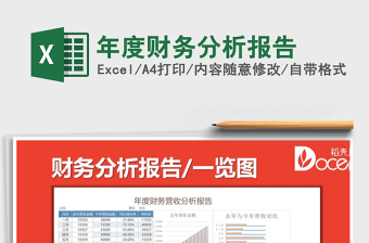 2024年年度财务分析报告