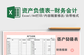 2025年资产负债表-财务会计