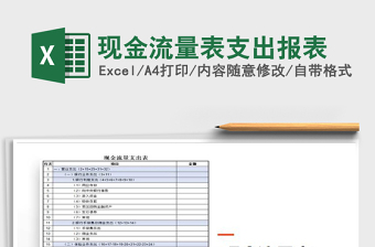 2025年现金流量表支出报表