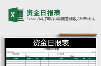 2025年资金日报表