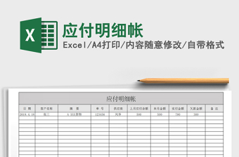 2025年应付明细帐