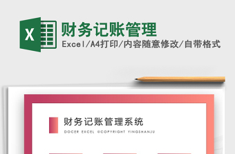 2025年财务记账管理