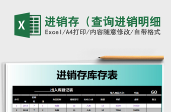 2025年进销存（查询进销明细