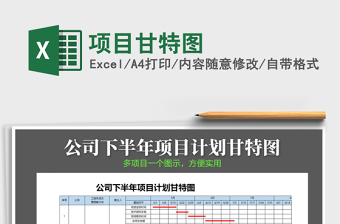 2025年项目甘特图