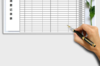 2025年年度消费记录表-通用模板