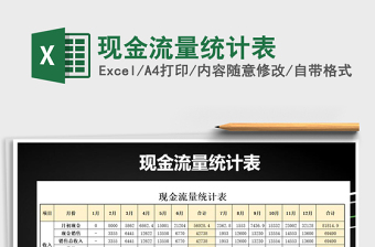 2025年现金流量统计表