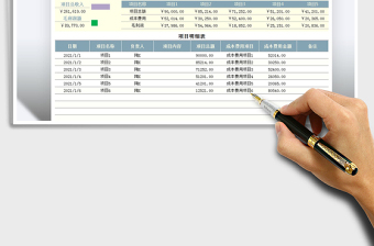 2025年项目收支费用利润表