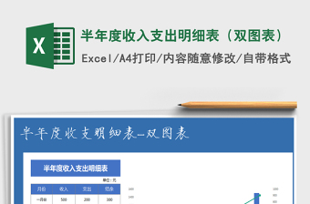 2025年半年度收入支出明细表（双图表）