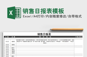 2025年销售日报表模板