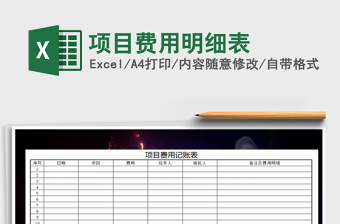 2025年项目费用明细表