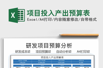 2024年项目投入产出预算表