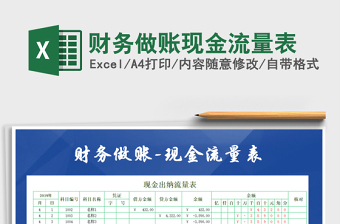 2025年财务做账现金流量表