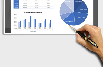 2025年片区销售额分析