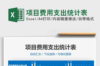 2025年项目费用支出统计表